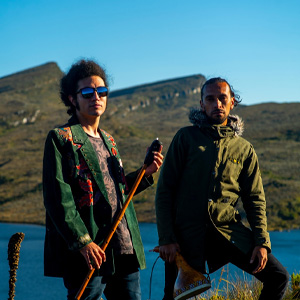 FRAILEJÓN – Colômbia